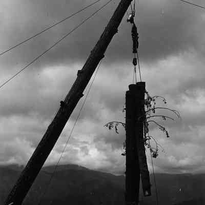 Photograph of logs being lifted by cables