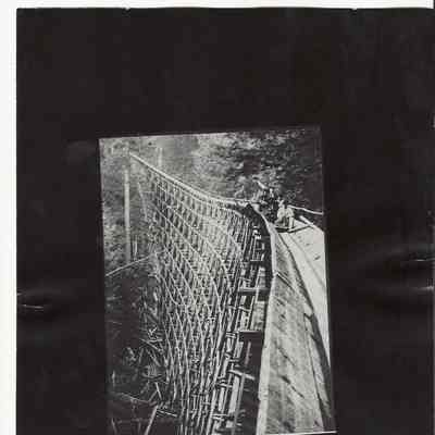 Photograph of the Prune Hill flume, date unknown