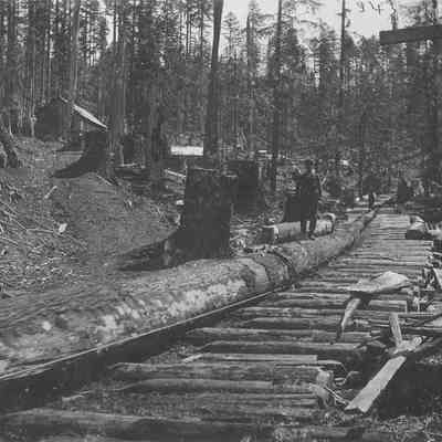 Logging at Saginaw, circa 1900