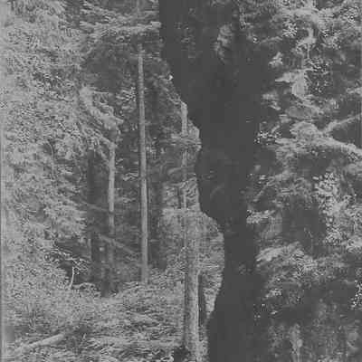 Photograph of Finn Rock, early 1900's