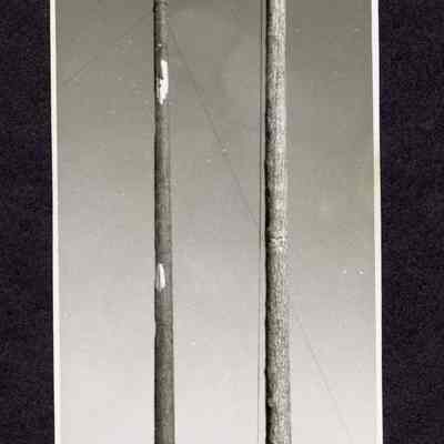 Photograph, Two tree trunks secured by wire with two men and building in background, date and location unknown.