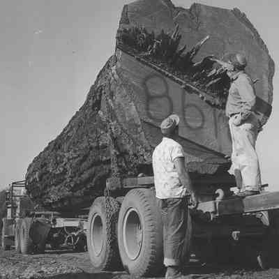 Photograph of two unidentified men and a log truck