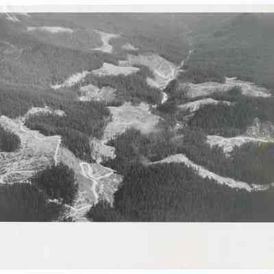Photograph of Weyerhaeuser's Calapooya Tree Farm, Oregon