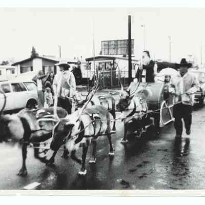 Photograph of the 1981 Christmas Parade, Springfield