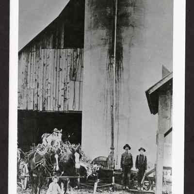 Photograph of filling Will Smeed's silo for the first time, 1912