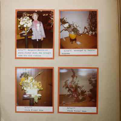 Page 66