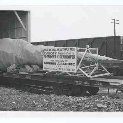 Photograph of the 1960's National Christmas Tree, Oregon's Presentation, Springfield area.