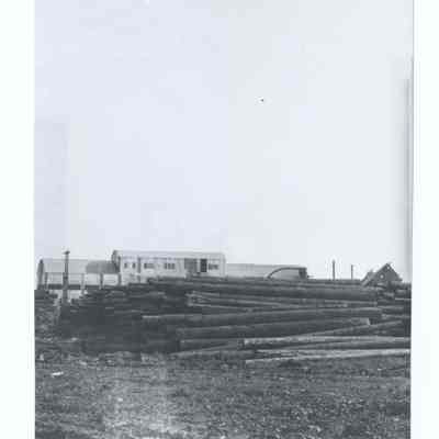 Photograph of a lumber mill, Springfield