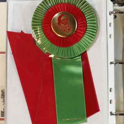 Page 68 (Ribbon)
