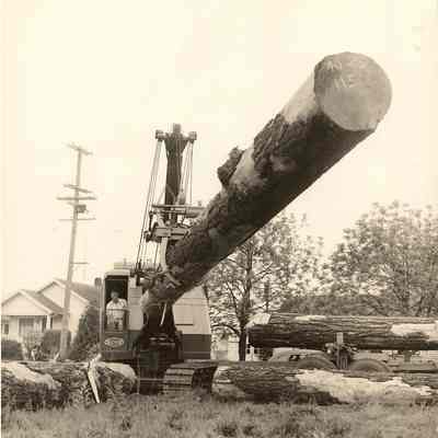 Photograph of Woolley Logging Co. Unloading Logs, Drain, Oregon, Undated