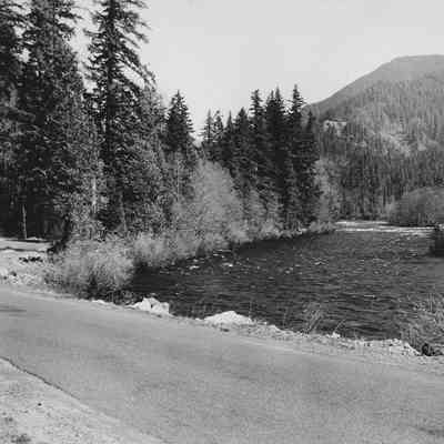 Photograph of McKenzie River Highway, Date Unknown