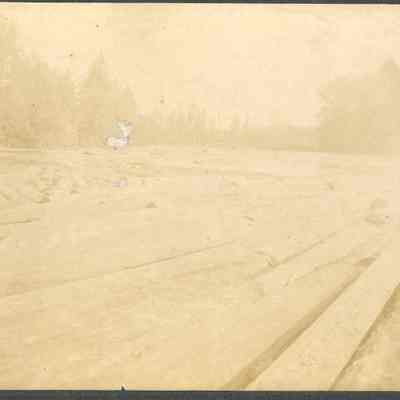 Photograph of log river run