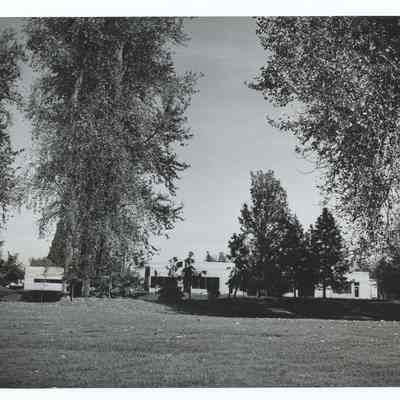 Photograph of Island Park and the Willamalane Adult Activity Center in Springfield