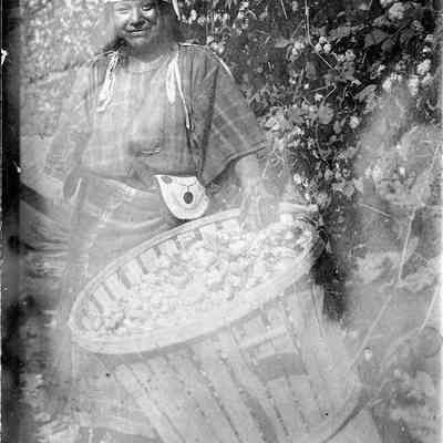 Postcard of a Native American woman and a filled hop basket, undated