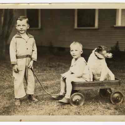 Photograph of Bill Davis Jr, Dillard Wright and dog Jyp, undated