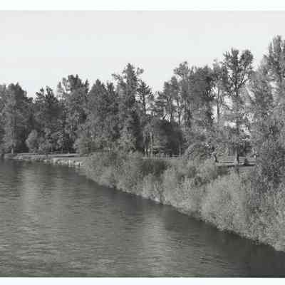 Photograph of Island Park in Springfield, undated