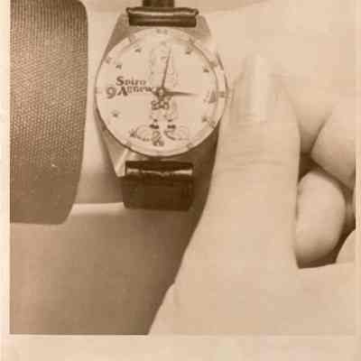 Photograph of Spiro Agnew watch