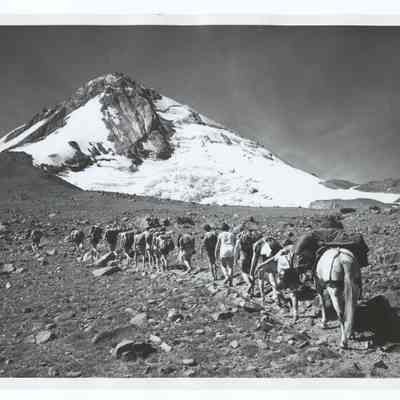 Photograph of a group of hikers, Oregon, undated