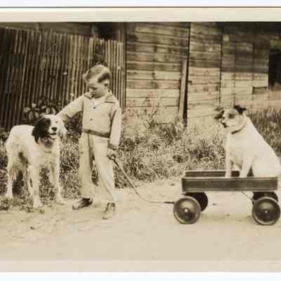 Photograph of Billy Davis junior and dogs, undated