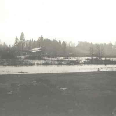 Photograph of flooded area, Springfield, Oregon, 1961
