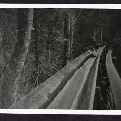 Photograph of man riding a log down a lumber flume, Lane County, Oregon