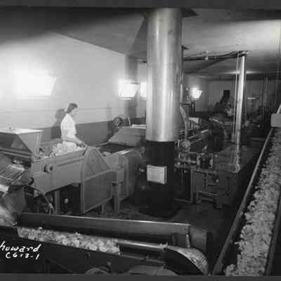 Photograph, Nalley Potato Chip Factory, Springfield, Oregon, 1953