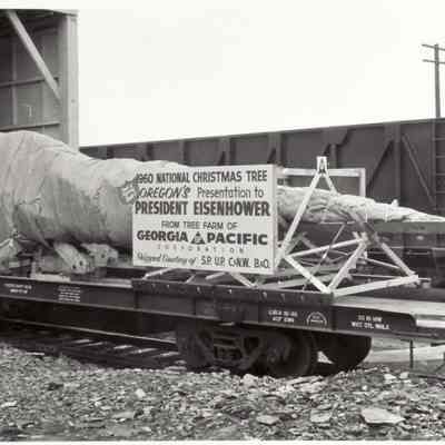 Photograph of 1960 National Christmas tree, Oregon's presentation to President Eisenhower