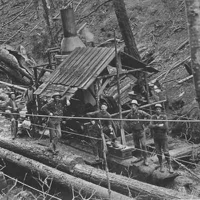 Photograph of Loggers at Work in Woods