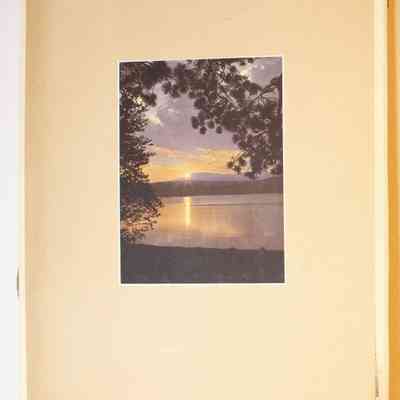 Back of cover page