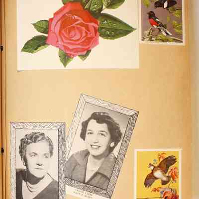 Page 27