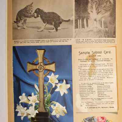 Page 36, back side of one of the cards shown