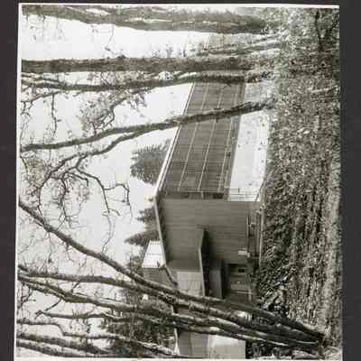 Photograph, Borden Office and Research Plant, 1960