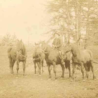 Photograph of Cliff Abrams driving horses on the Willamette Log Drive