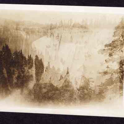 Photograph of Forest, Circa 1925