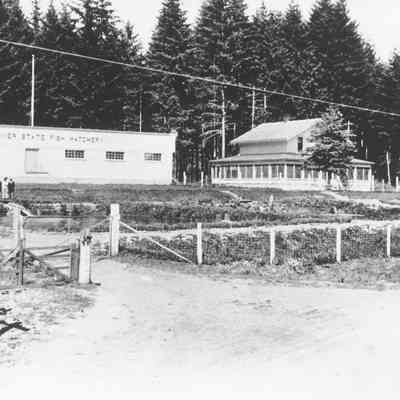 Photograph of Leaburg Fish Hatchery