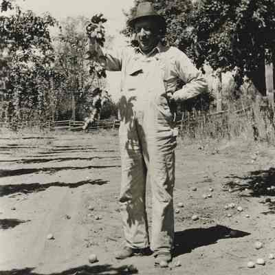 Ivan C. Anderson at Anderson Brothers' Hopyard