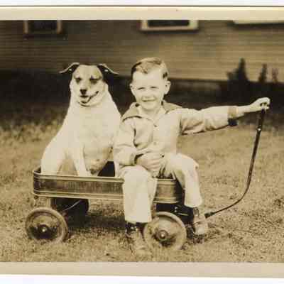 Photograph of Billy Davis junior and dog, 1928-1929