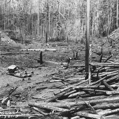 Photograph of Donkey Engine in the middle of fallen and burned trees
