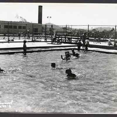 Photograph, Swimmers Playing, Willamalane Park Swimming Pool, 1952