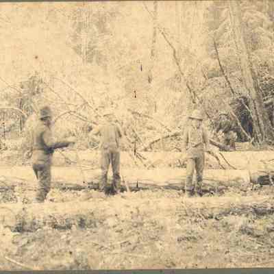 Photograph of six unidentified men at Warner Camp, Little Fall Creek, Fall Creek, Oregon, 1903