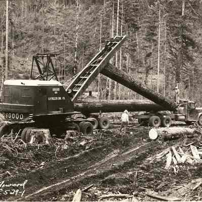 Photograph of Woolley Logging Company loading logs onto a truck, Drain, Oregon, undated