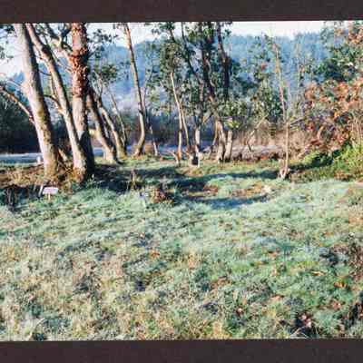 Photograph of Glenwood Cemetery Grave Markers, 1980-1999