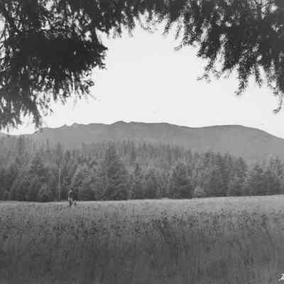 Photograph of View from Log Cabin Inn, 1947