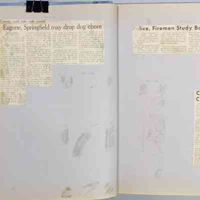 Pages 34 - 35