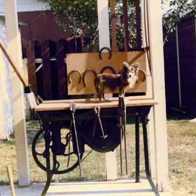 Photograph, Forge and Dog, August 1976.
