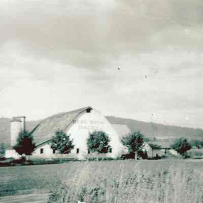 Photograph of Berg Brothers Dairy Farm and Field, Thurston, Oregon, Undated
