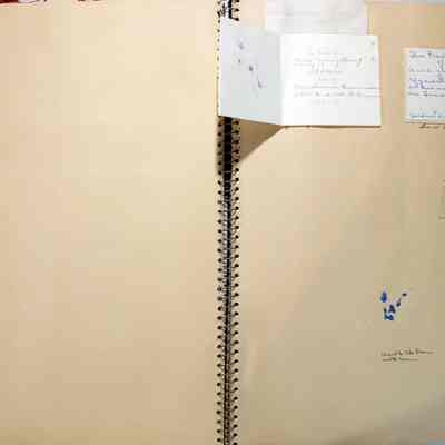 Page 38 and 39 inside of cards inside enclosed envelope shown