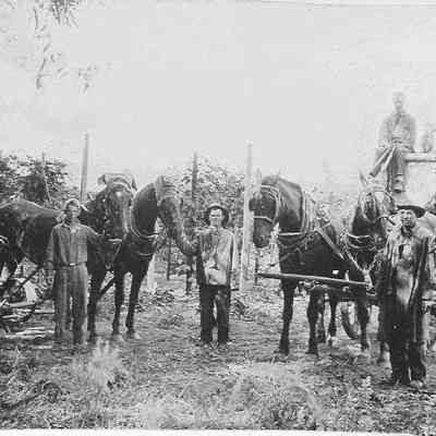 Photograph of spraying at Hop Yards near Dorris Ranch; S. 2nd St. 1916.