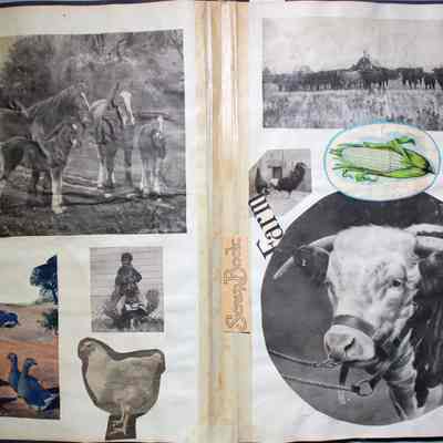 Pages 2 and 3