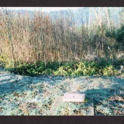 Photograph of Baby M. Arthur Gravestone in Glenwood Cemetery, 1980-1999